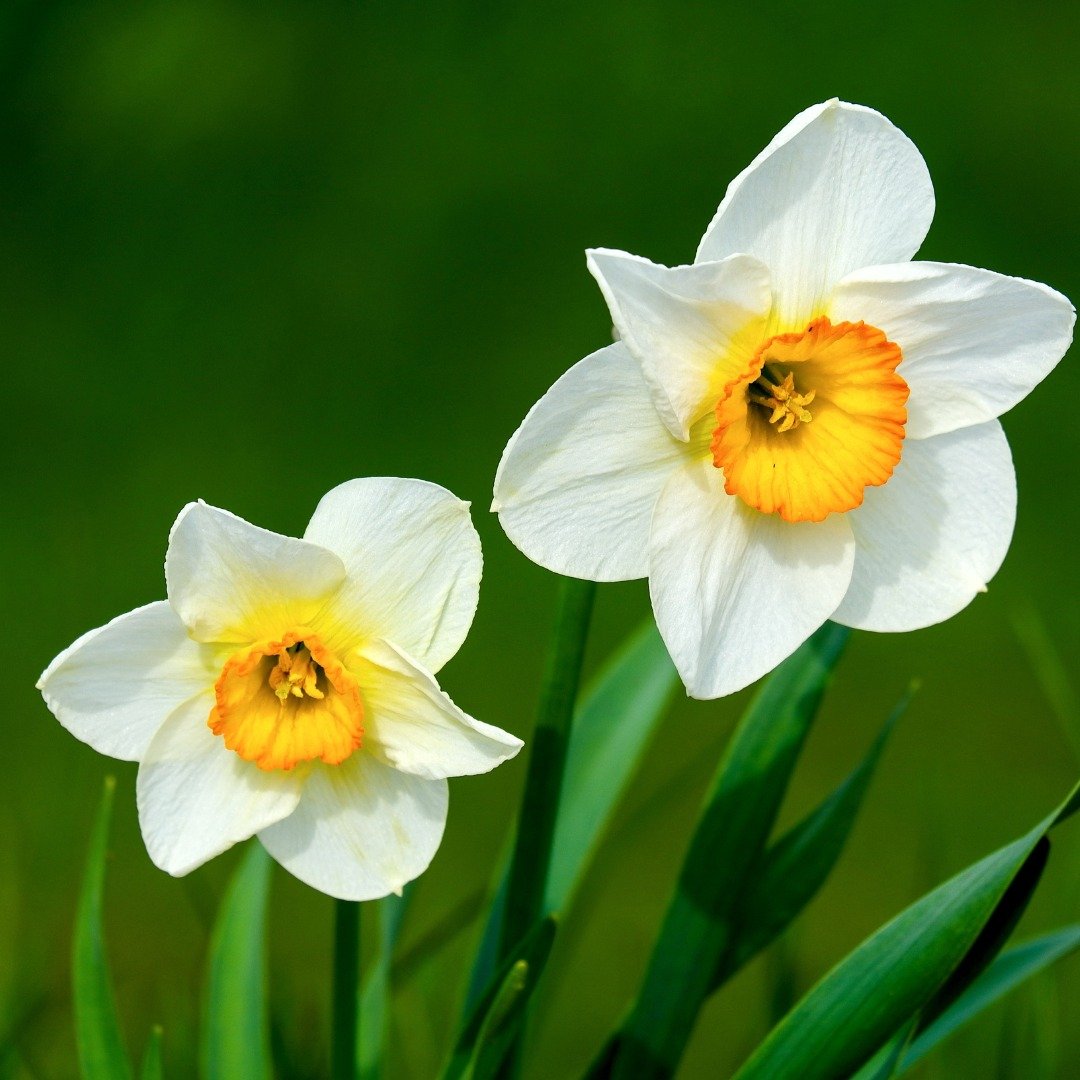 Your Spring Skin Care Guide

https://soleilra.com/spring-skin-routine/