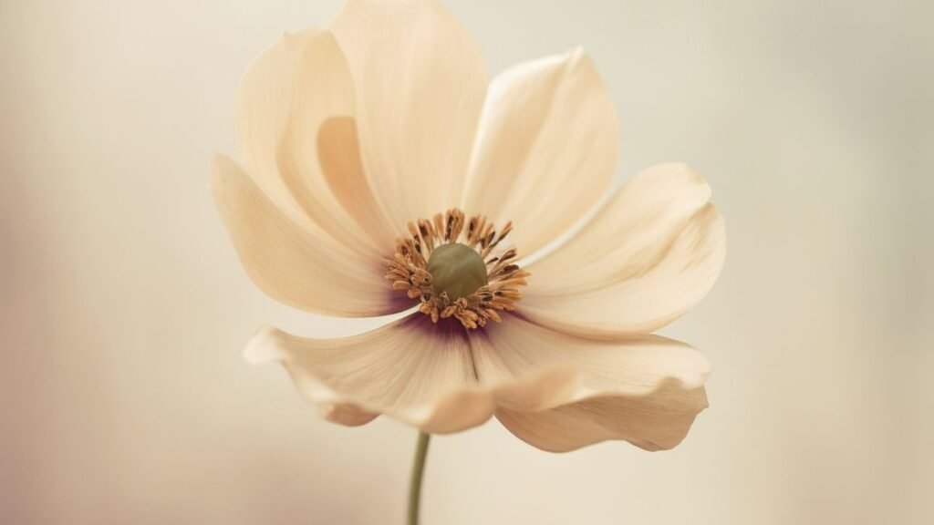 spring-skin-care-the-complete-guide