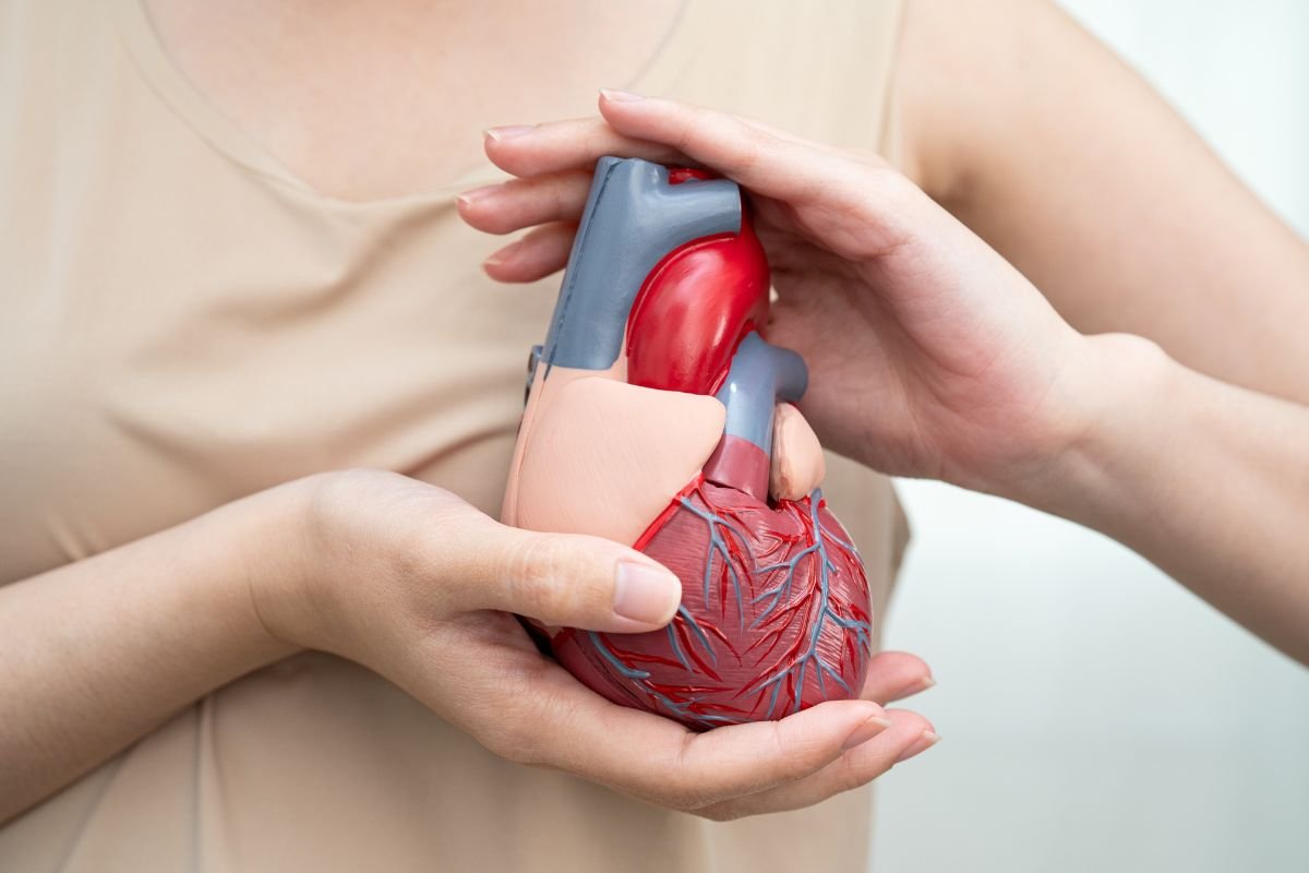 Female health professional holding a heart illustration, representing expert guidance on cardiovascular disease warning signs in women